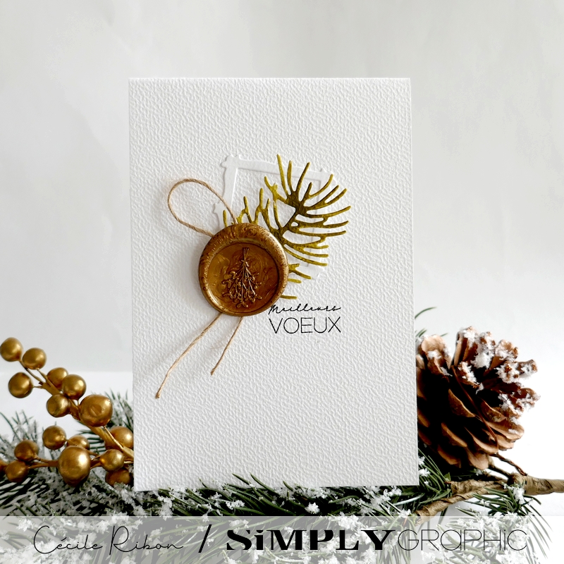 Carte SGAvent11 - P1430803