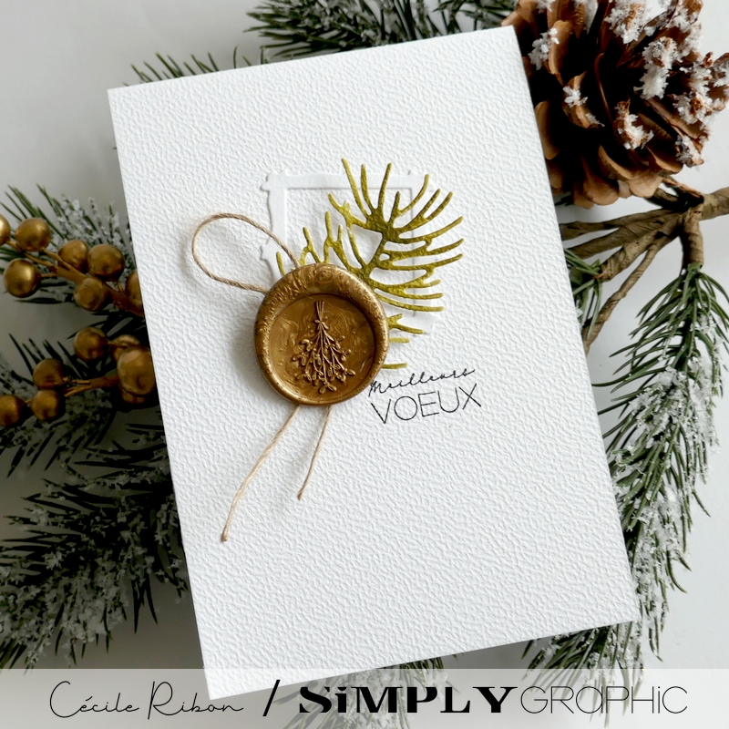 Carte SGAvent11 - P1430812