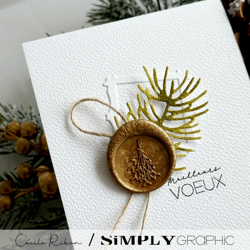 Carte SGAvent11 - P1430815