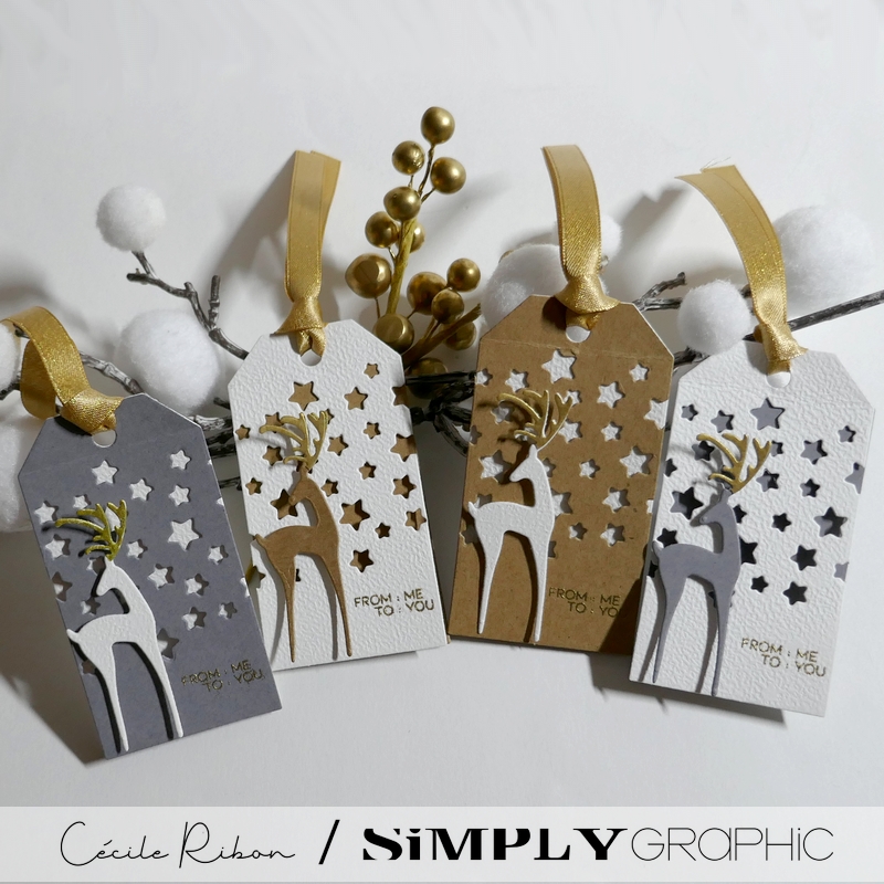 Carte SGAvent12 - P1430837