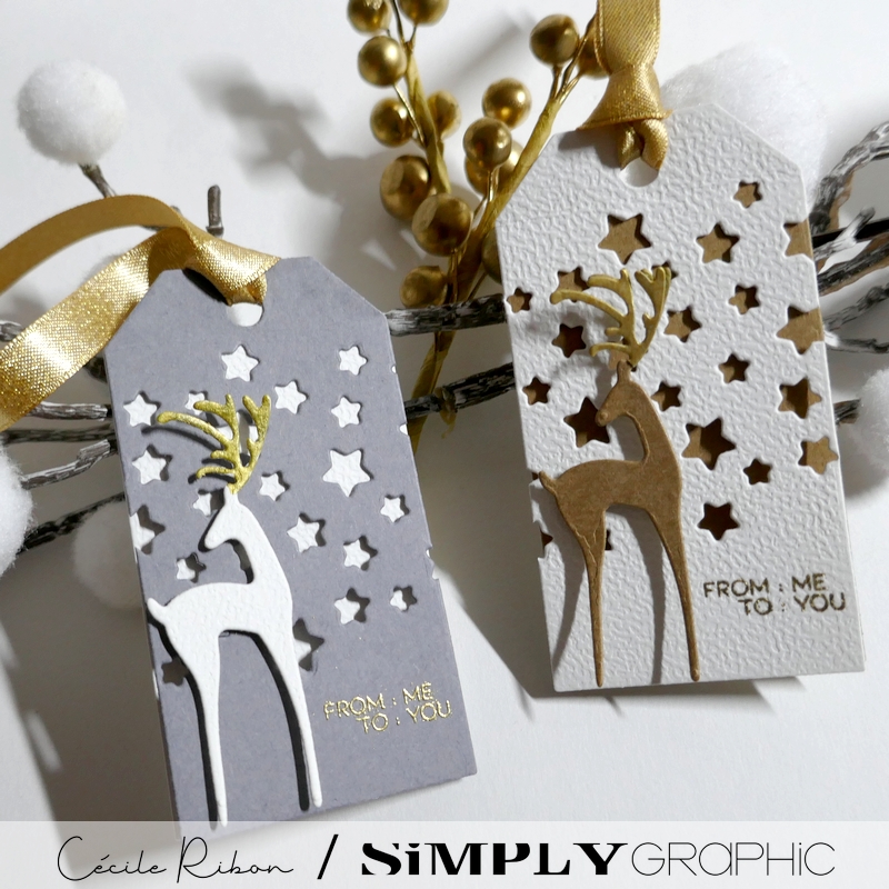 Carte SGAvent12 - P1430841