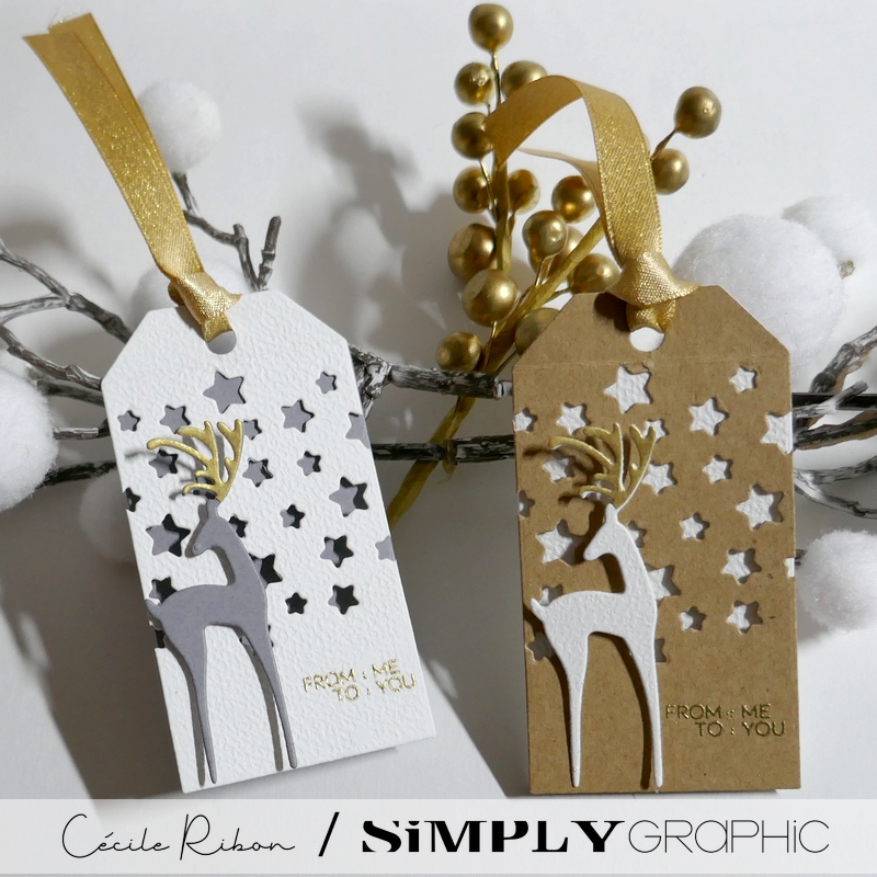 Carte SGAvent12 - P1430843