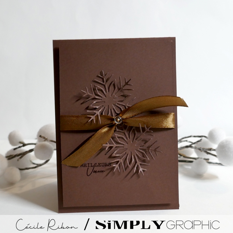 Carte SGAvent14 - P1430903