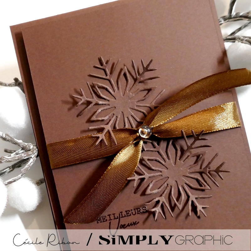 Carte SGAvent14 - P1430915