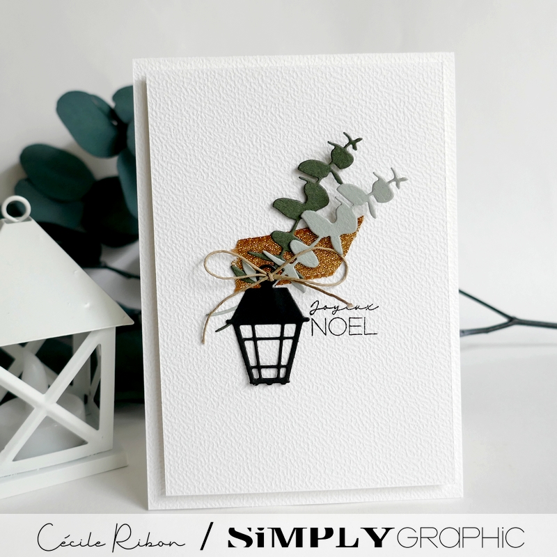 Carte SGAvent15 - P1430951