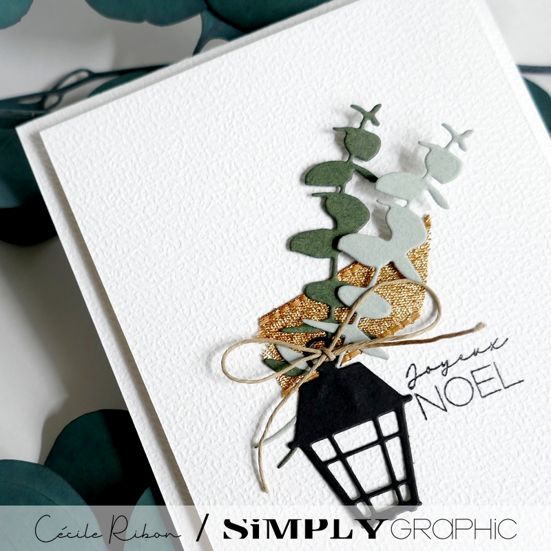 Carte SGAvent15 - P1430963