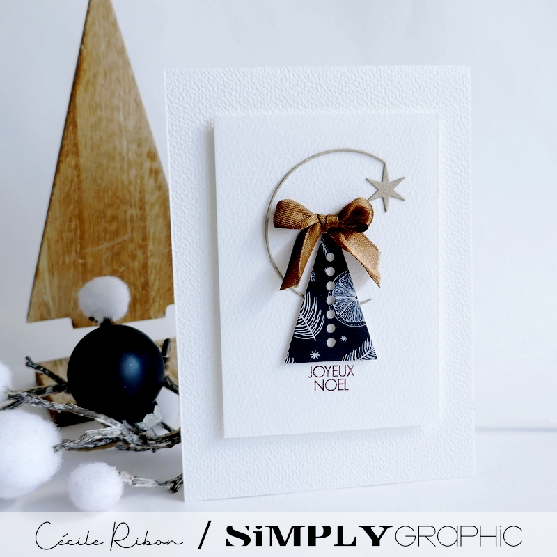 Carte SGAvent16 - P1440013