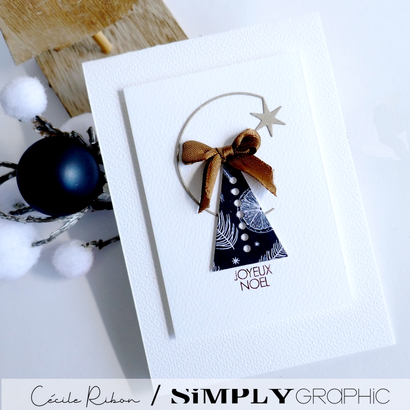 Carte SGAvent16 - P1440020