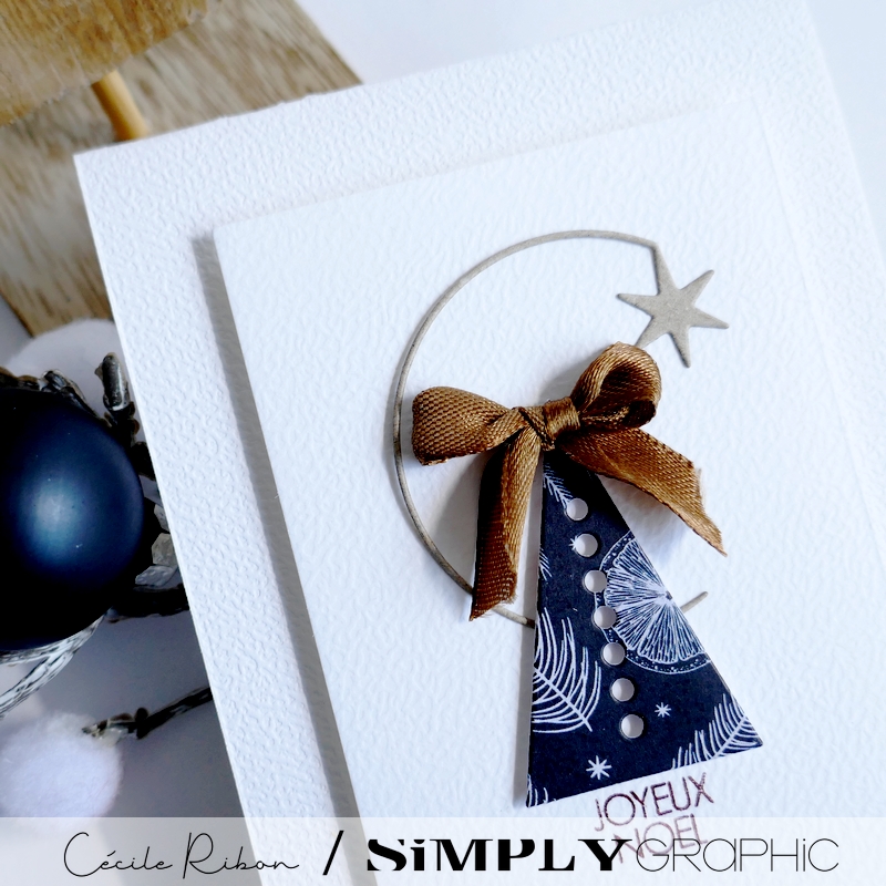 Carte SGAvent16 - P1440023