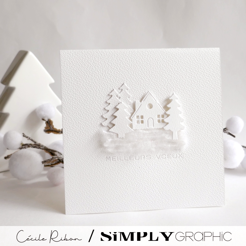 Carte SGAvent17 - P1440048