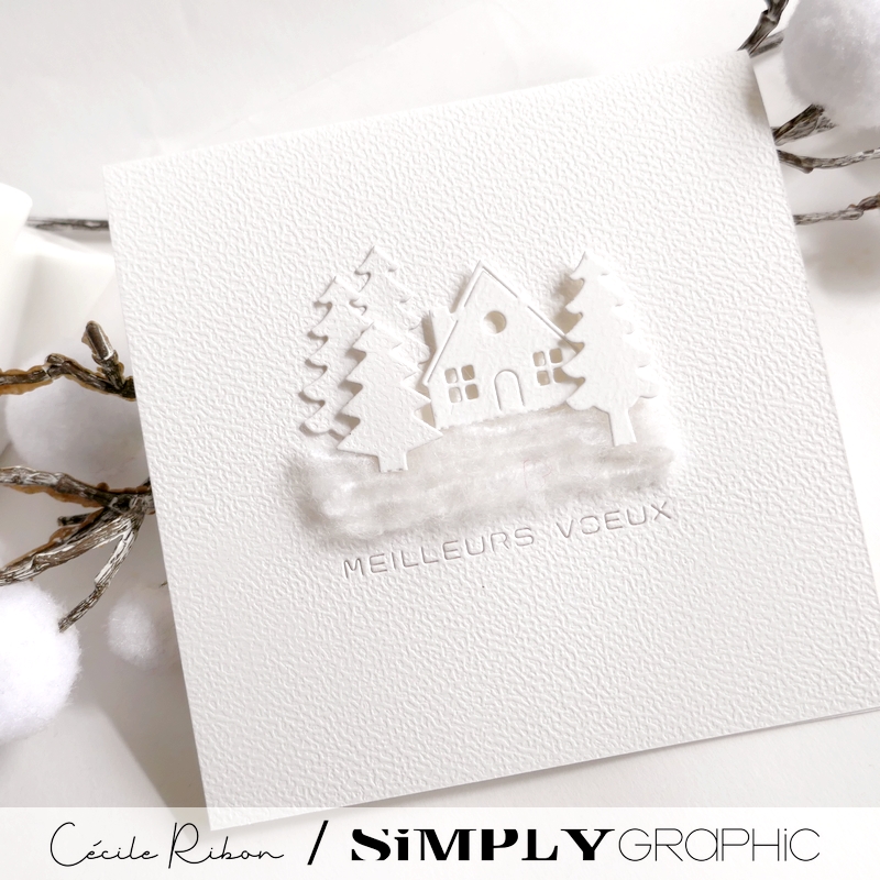 Carte SGAvent17 - P1440052