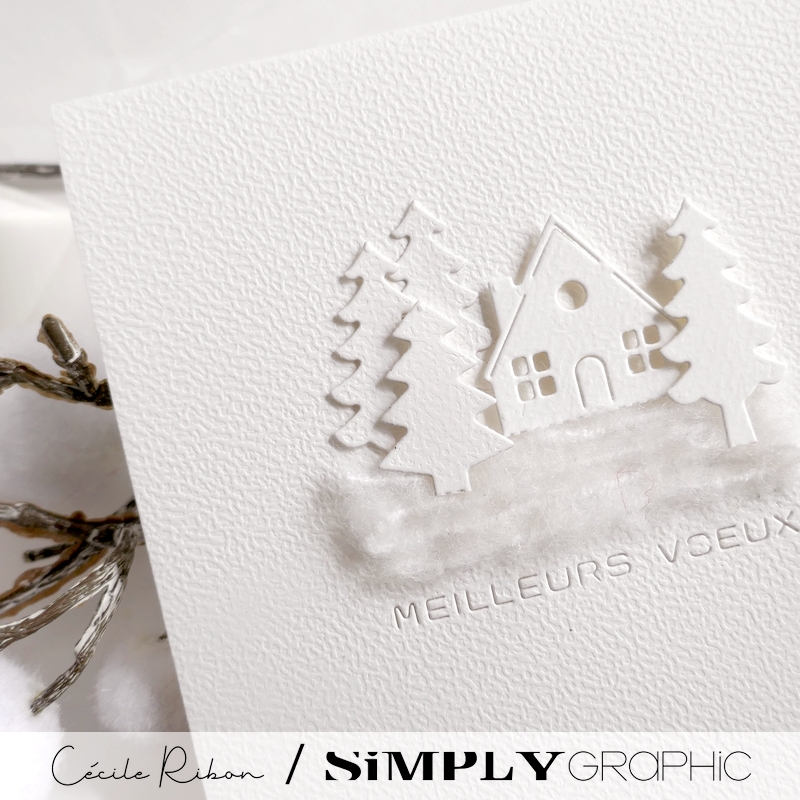 Carte SGAvent17 - P1440058