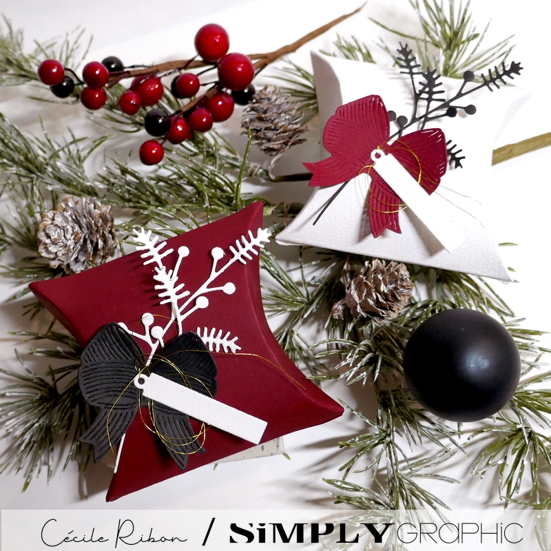 Carte SGAvent18 - P1440090