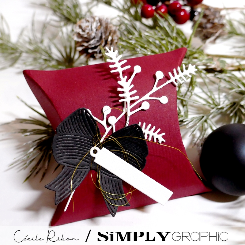 Carte SGAvent18 - P1440103