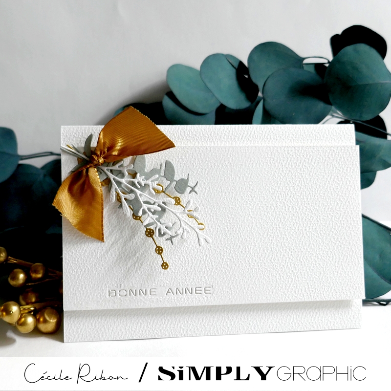 Carte SGAvent19 - P1440129