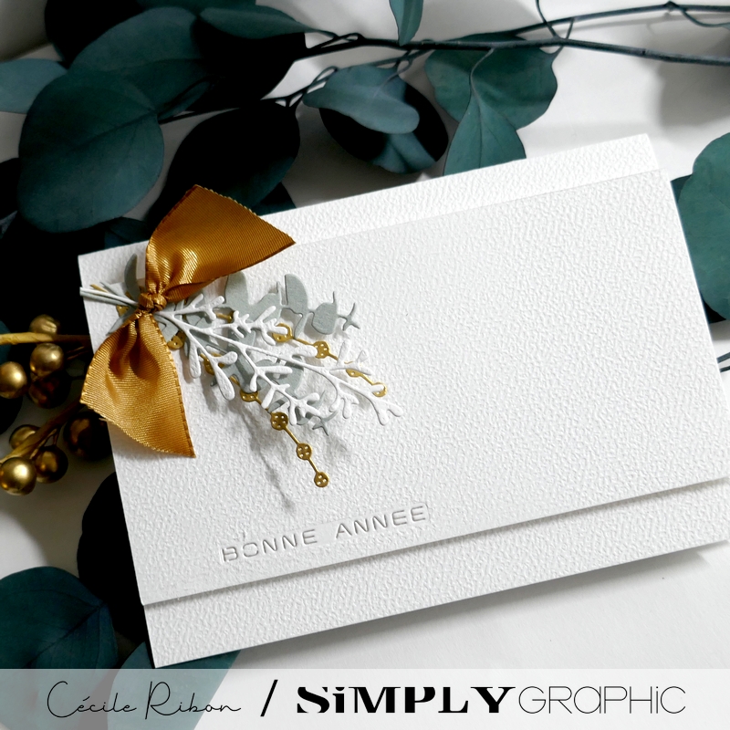 Carte SGAvent19 - P1440144