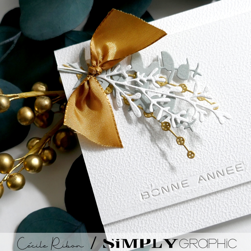 Carte SGAvent19 - P1440149