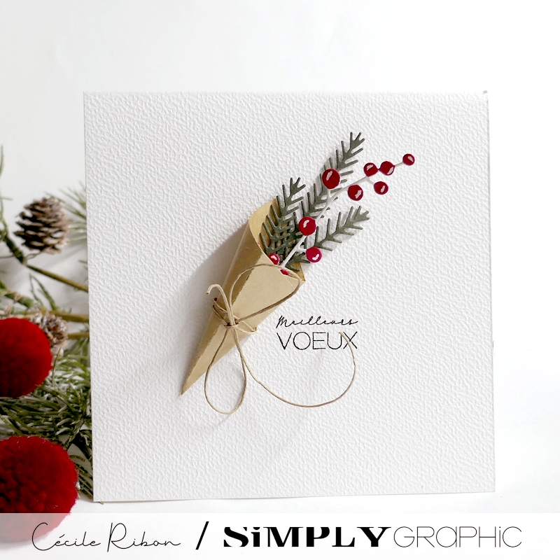 Carte SGAvent20 - P1440188