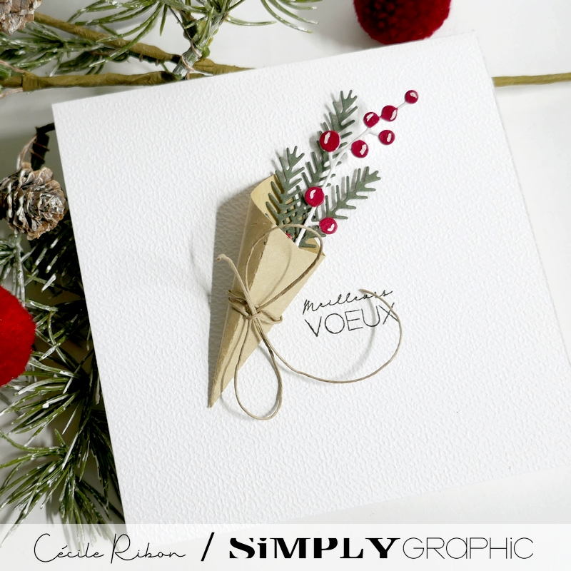 Carte SGAvent20 - P1440199