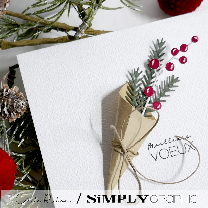 Carte SGAvent20 - P1440202