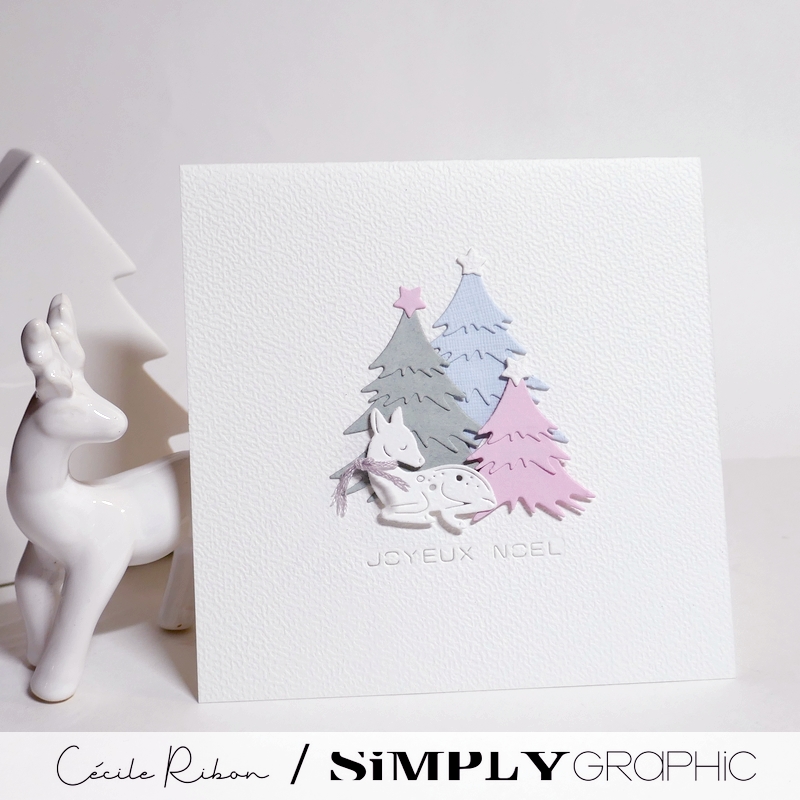 Carte SGAvent23 - P1440350