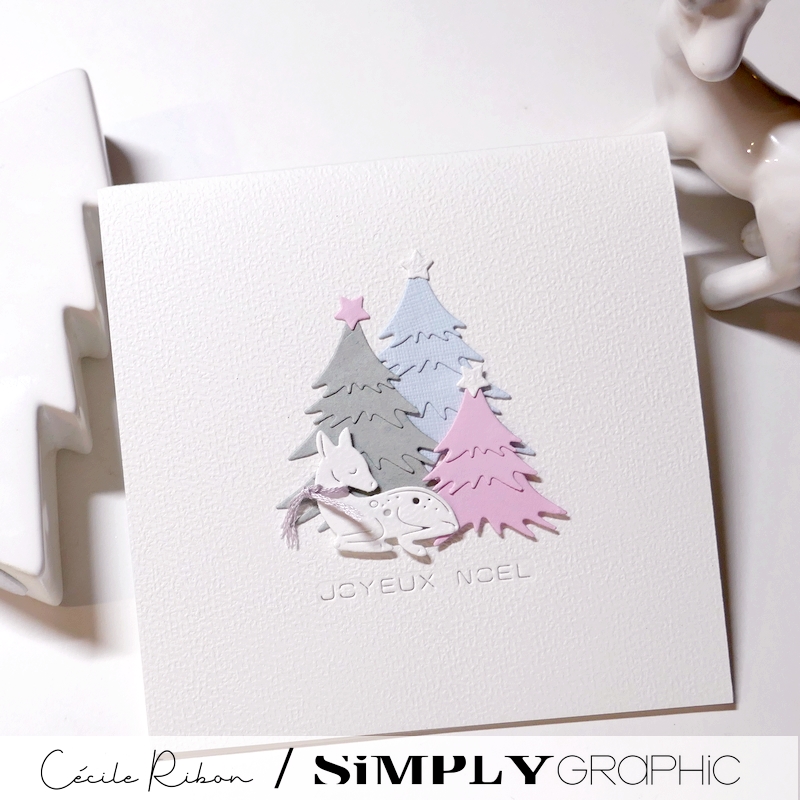 Carte SGAvent23 - P1440359