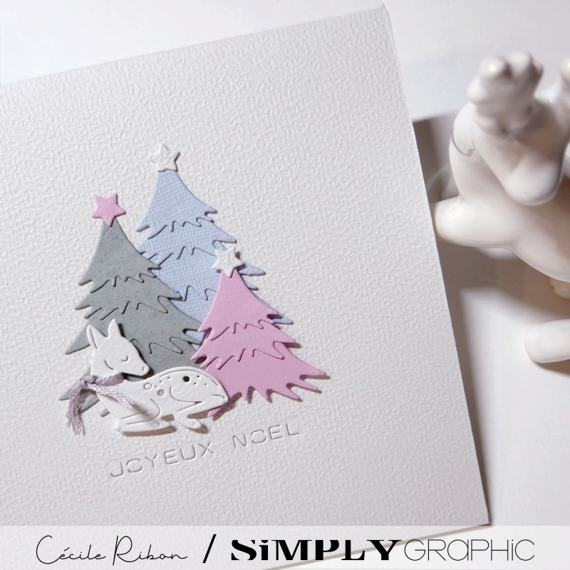 Carte SGAvent23 - P1440364