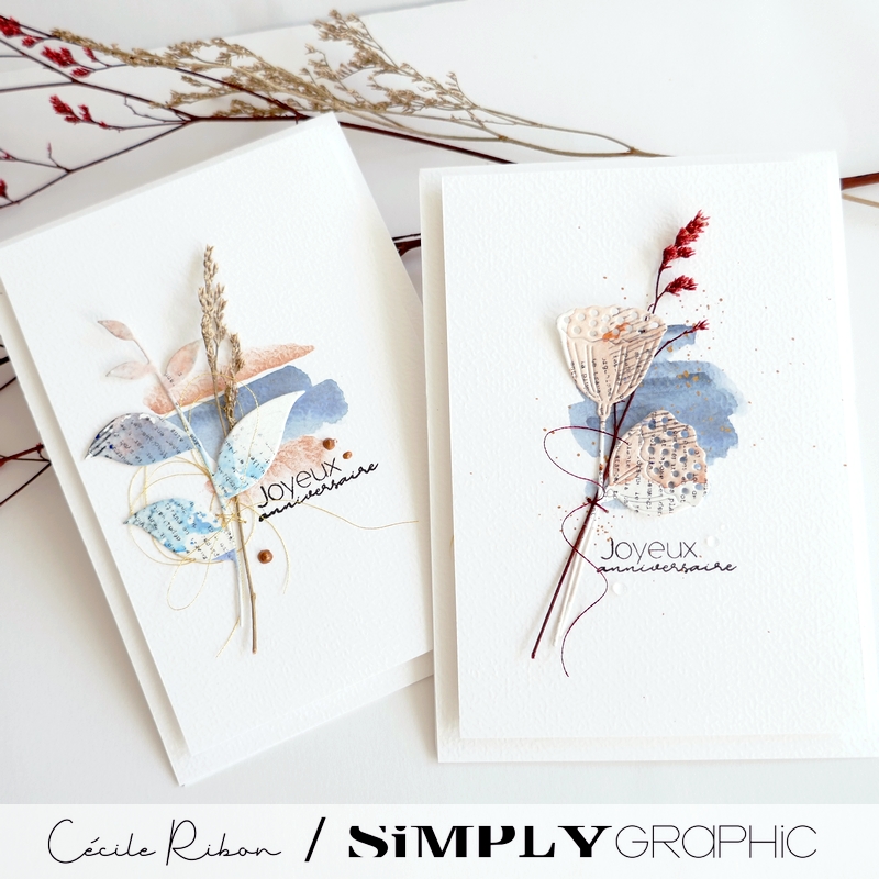 Carte AnnivF01 - P1420006