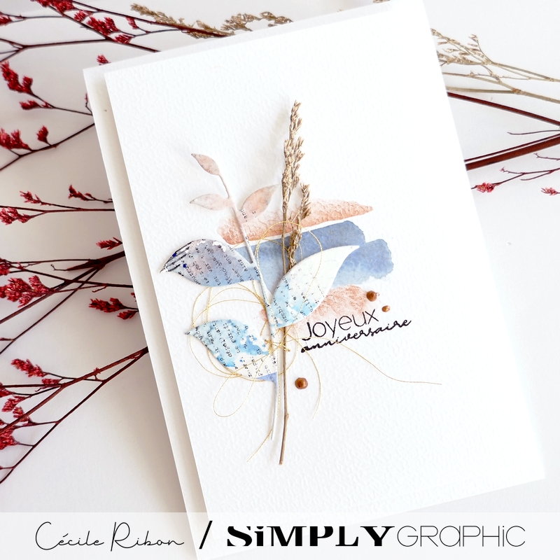 carte AnnivF01 - P1420015