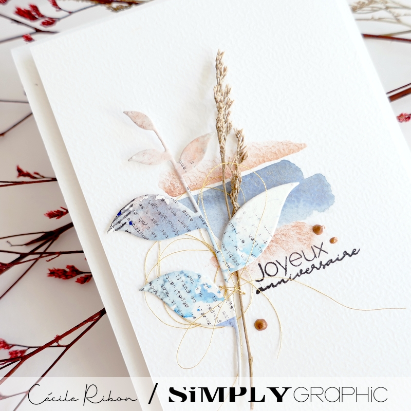 Carte AnnivF01 - P1420016