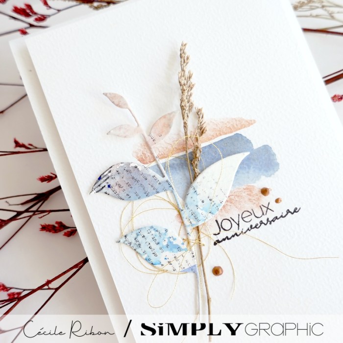 Carte AnnivF01 - P1420016