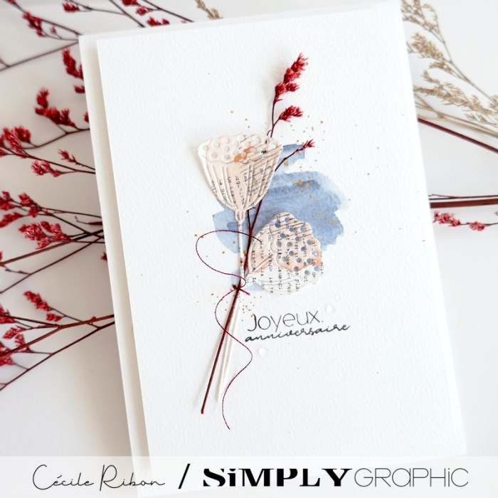 Carte AnnivF01 - P1420020