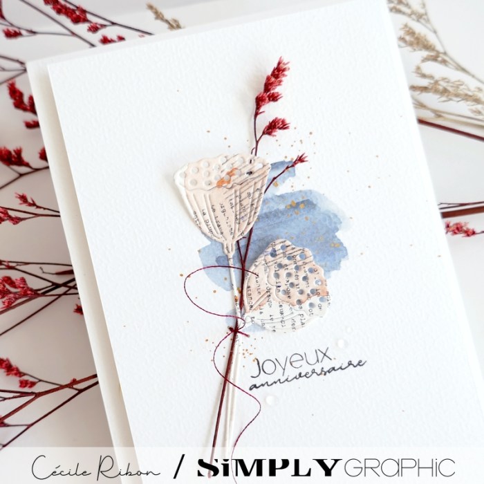 Carte AnnivF01 - P1420026