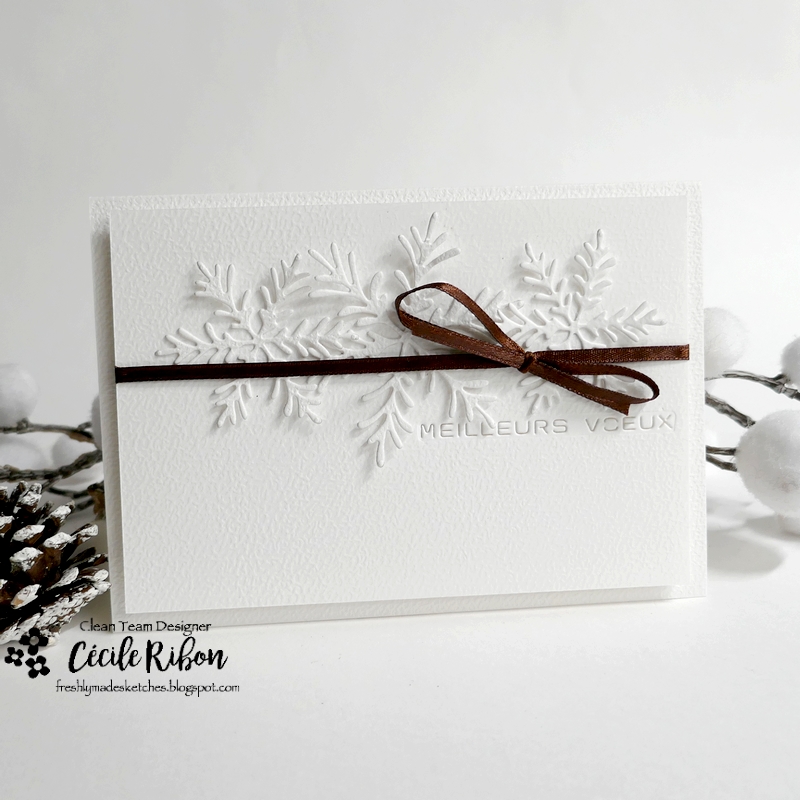 Carte FMS617 - P1440546