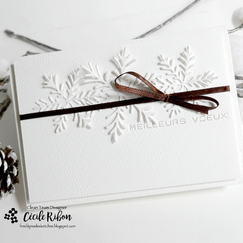 Carte FMS617 - P1440550