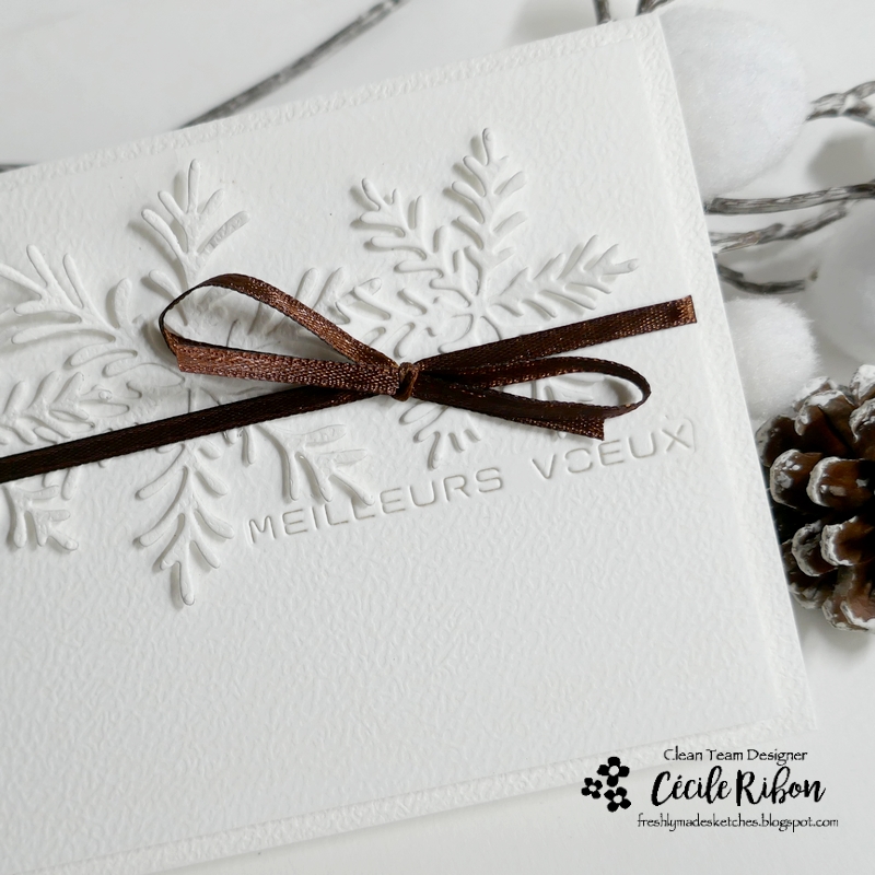 Carte FMS617 - P1440560