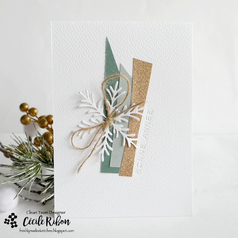 Carte FMS618 - P1440647