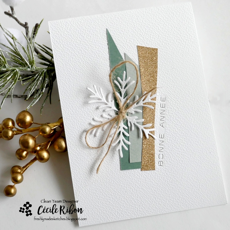 Carte FMS618 - P1440654