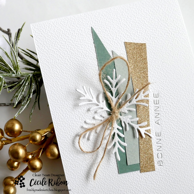 Carte FMS618 - P1440665