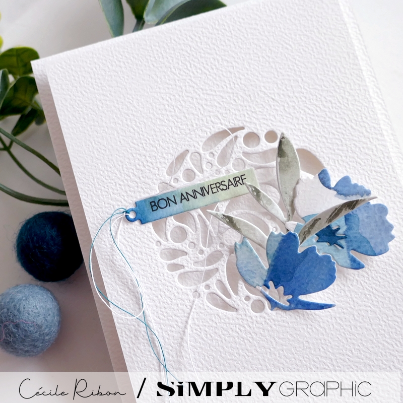 Carte FMS620 - P1440770