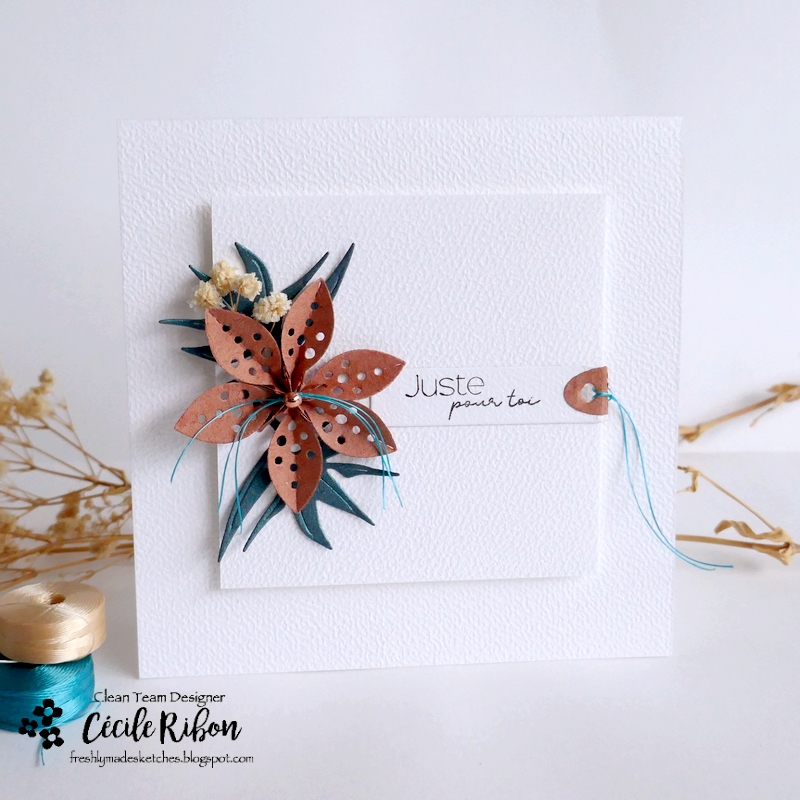 carte FMS621 - P1440853