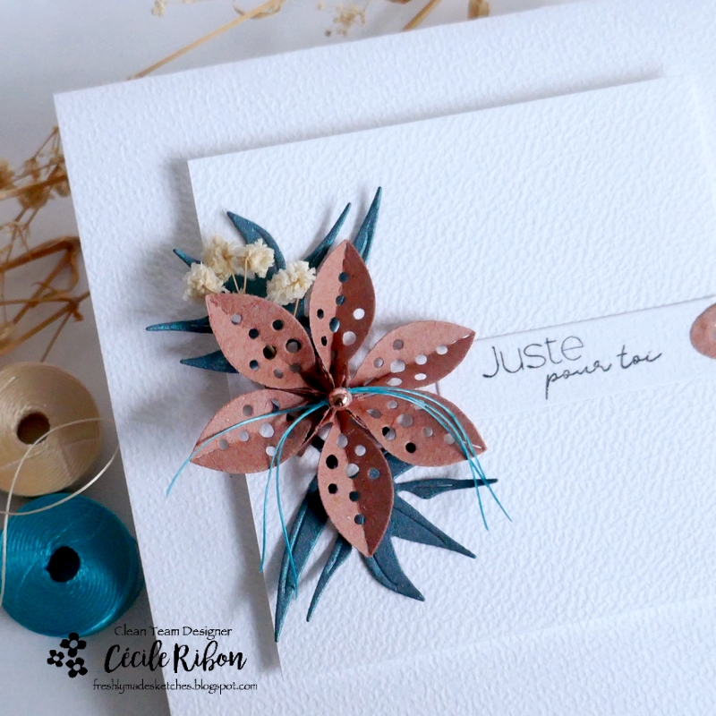 Carte FMS621 - P1440868