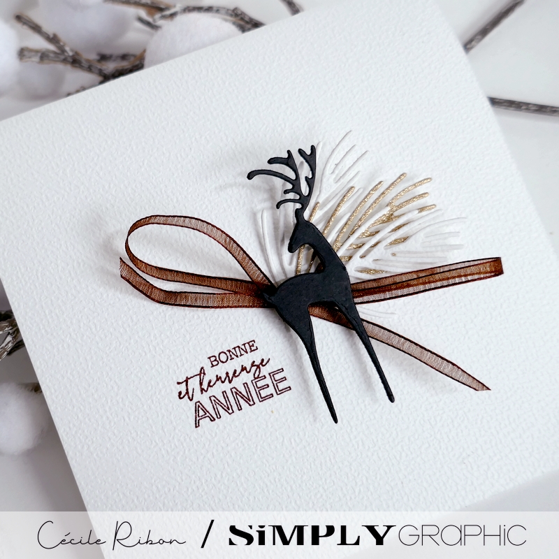 Carte Voeux2024 03 - P1440540