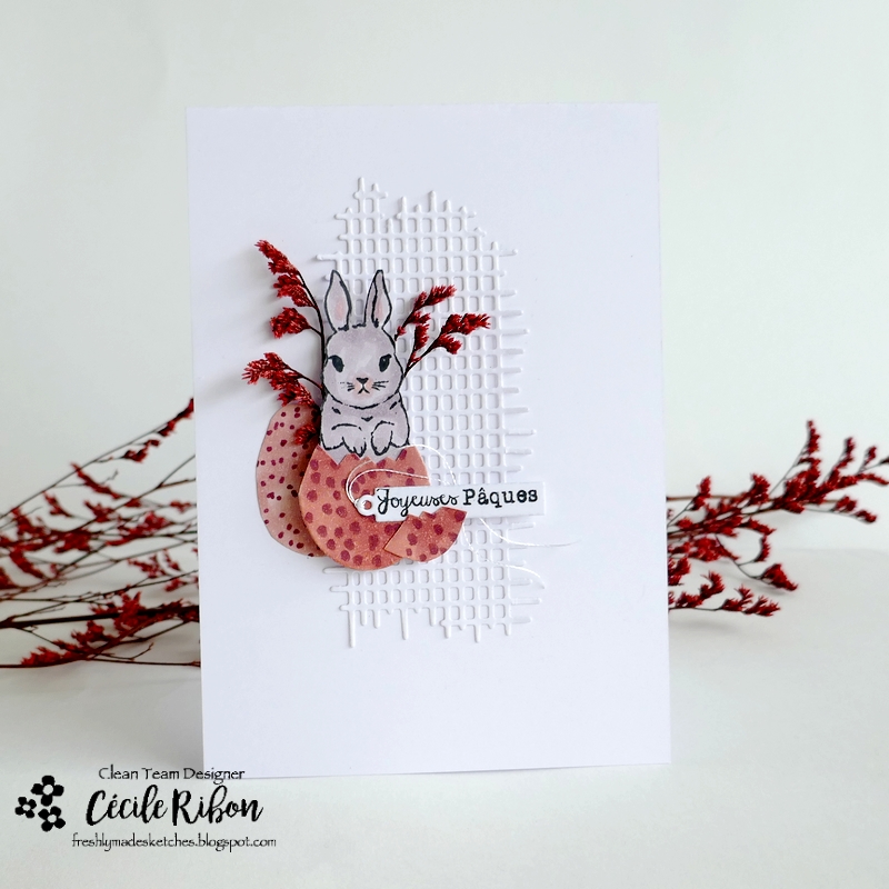 Carte FMS628 - P1450385