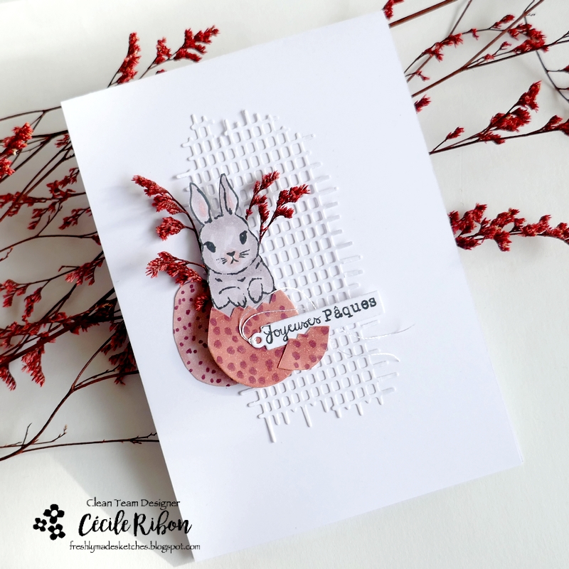 Carte FMS628 - P1450391