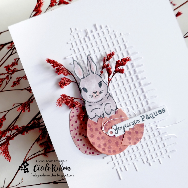 Carte FMS628 - P1450395