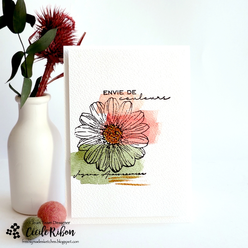 Carte FMS630 - P1450548