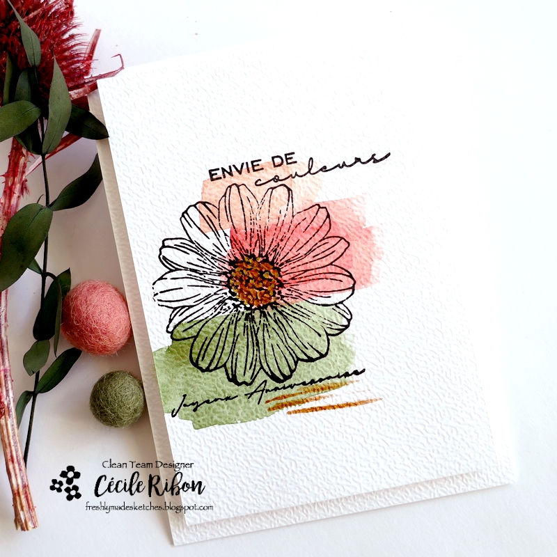 Carte FMS630 - P1450563