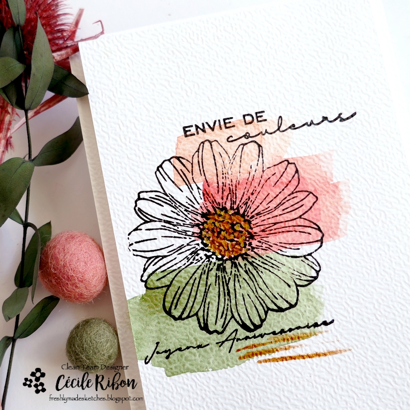 Carte FMS630 - P1450564