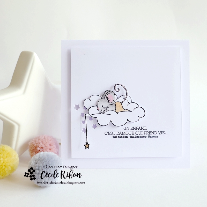 Carte FMS631 - P1450678